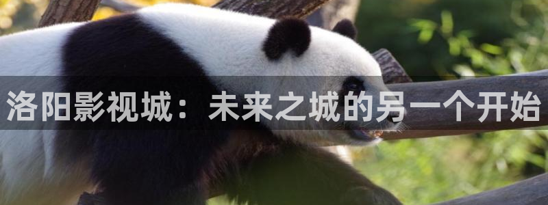 水蜜桃女孩電影：洛陽影視城：未來之城的另一個開始