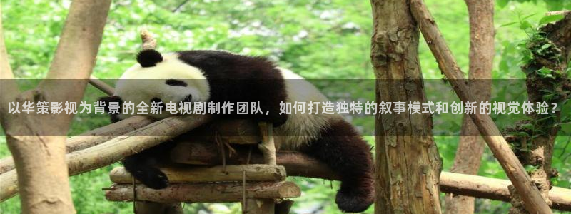 蜜桃視頻,：以華策影視為背景的全新電視劇制作團隊，如何打造獨特的敘事模式和創新的視覺體驗？